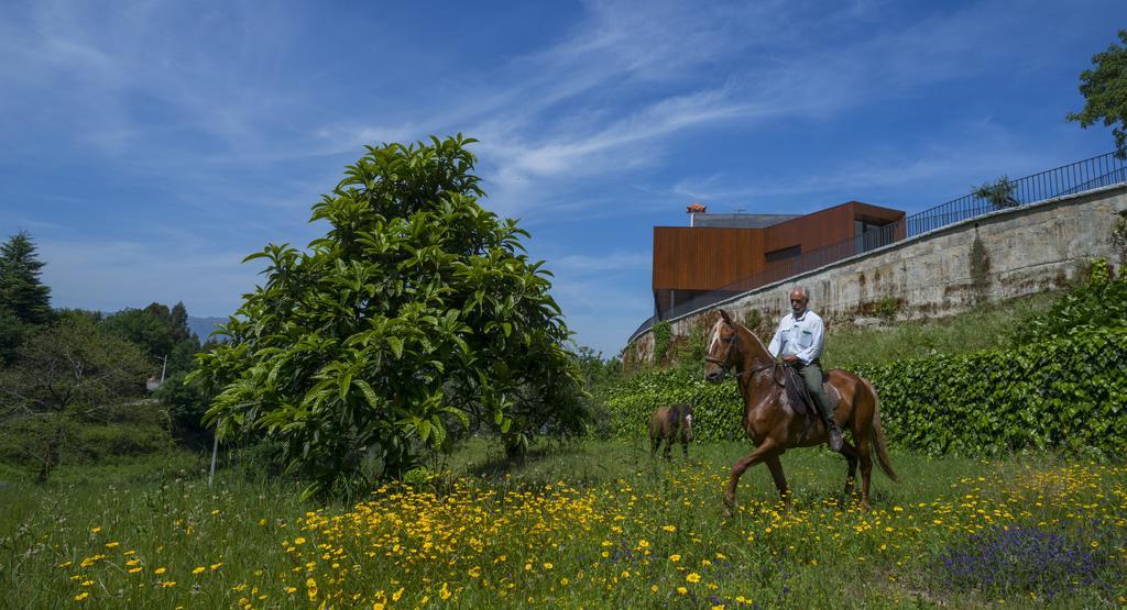 Quinta Do Fontelo Villa Vouzela Exteriör bild