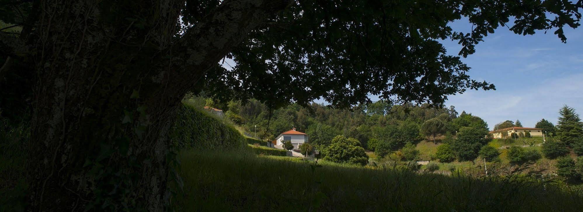 Quinta Do Fontelo Villa Vouzela Exteriör bild