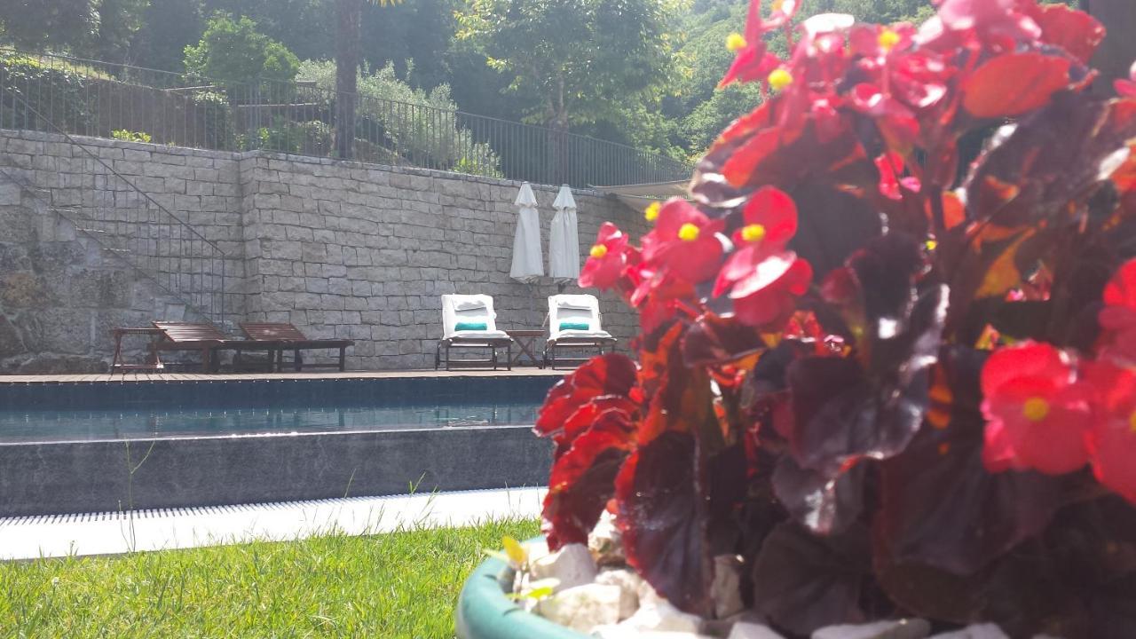 Quinta Do Fontelo Villa Vouzela Exteriör bild